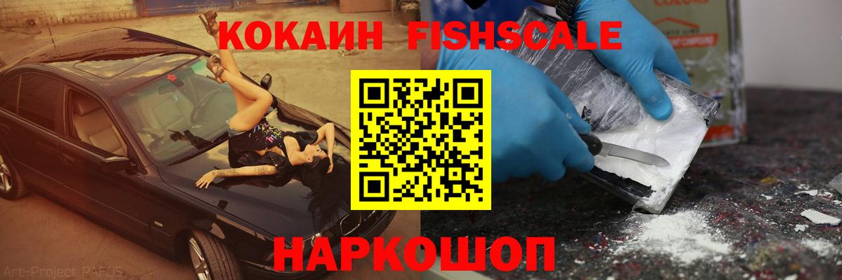 COCAIN Fish Scale  Вход с VPN  Печора 
