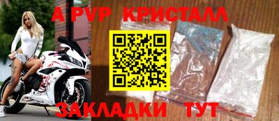 спиды Донской