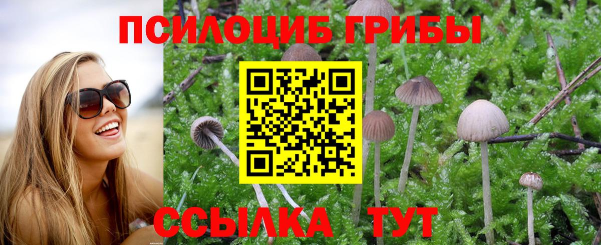 Галлюциногенные грибы мухоморы Печора